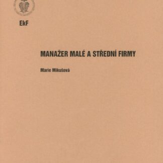 Manažer malé a střední firmy