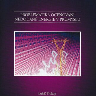 Problematika oceňování nedodané energie v prům.-pouze na EkF